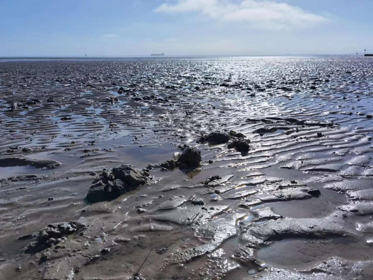 Schaake Schillig-Strandnahe Wohlfuehloase Mit Modernem Flair Und Kostenlosem Parken Экстерьер фото